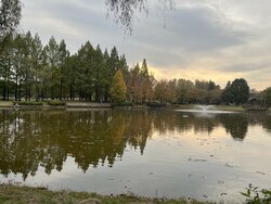 埼玉県営彩の森入間公園
