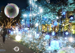 Ensemble lights（イメージ）