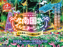 「日本最高レベルの輝きを体験！沖縄市の植物園で約400万球が彩る南国イルミネーション」の写真