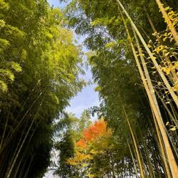 「【茨城】「芸術の秋」の11月に行きたい！おすすめ博物館・美術館8選」の写真