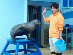 「【豊橋周辺】11月2日～4日の三連休のおでかけにおすすめ！人気スポットランキング」の写真