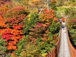 泉町紅葉祭（八代市経済文化交流部観光振興課）