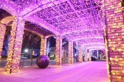 「久留米市で40万球のイルミ「ほとめきファンタジー」が開催　オープニングイベントも！」の写真