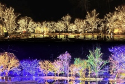 「【2024】最高の思い出作りに親子で行きたい！宮城のおすすめクリスマスイベント4選」の写真