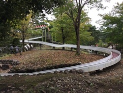 「【日光周辺】12月14日・15日の今週末のおでかけにおすすめ！人気スポットランキング」の写真