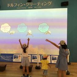 「【天草周辺】12月14日・15日の今週末のおでかけにおすすめ！人気スポットランキング」の写真