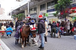 2024久里浜クリスマスフェスタ（久里浜観光協会）