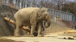 「GWは動物園に！　「動物ふれあい施設」人気TOP10【関東】」の写真