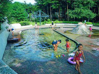 提供：つくば市公園・施設課