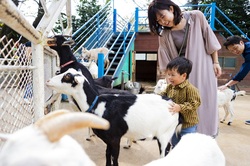 「【松戸・柏周辺】7月5日・6日の今週末おでかけにおすすめ！人気スポットランキング」の写真
