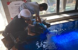 「神奈川県海老名市と静岡県浜松市でお風呂屋さんのお仕事体験！　子供が熱波師に挑戦！」の写真