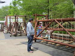 「【八王子周辺】7月5日・6日の今週末おでかけにおすすめ！人気スポットランキング」の写真