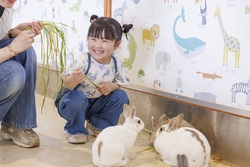 「東京ドームが1日限定で公園に　キッズエリアや動物ふれあいなど親子向けイベント多数」の写真