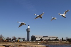 提供：ググっとぐんま写真館（http://gunma-dc.net/）