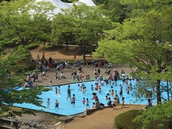 「【埼玉】2025年夏休みに行きたい！おすすめ水遊びスポット11選　人気＆穴場＆無料も」の写真