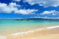 「夏休みに使いたい！ 観光地の施設割引サービスまとめ」の写真