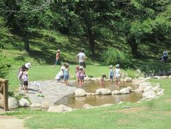 「【長野】2025年夏休みに行きたい！おすすめ水遊びスポット10選　人気＆穴場＆無料も」の写真