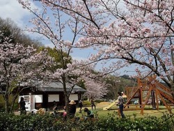 「【香川】2025年夏休みに行きたい！おすすめ水遊びスポット8選　人気＆穴場＆無料も」の写真