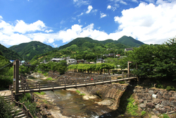 提供：愛媛県観光物産課、愛媛県観光物産協会