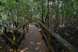 画像提供：竹富町観光協会