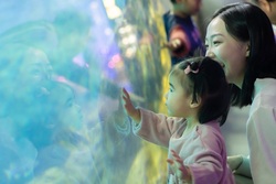 相模湾と太平洋、そこに暮らす様々な生き物たちを展示