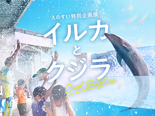 9月30日（火）までは特別企画展「イルカとクジラCoool Dolphin」を開催！