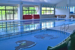 「【えびの周辺】7月12日・13日の今週末のおでかけにおすすめ！人気スポットランキング」の写真