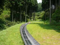 「【日立周辺】7月12日・13日の今週末のおでかけにおすすめ！人気スポットランキング」の写真