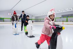 「【関東】暑い日に涼しく遊べる穴場「アイススケート場」9選　夏休み限定教室も」の写真