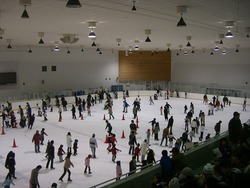 「【関東】暑い日に涼しく遊べる穴場「アイススケート場」9選　夏休み限定教室も」の写真
