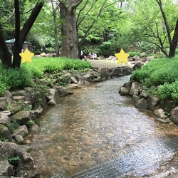 「【東京】2025年夏休みに行きたい！おすすめ水遊びスポット11選　人気＆穴場＆無料も」の写真