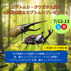 カブトムシ・クワガタ大展示＆採集体験