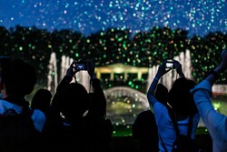 「調布市の神代植物公園で2日間限定の大温室夜間公開　幻想的なバブルミネーションも！」の写真