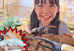 「【関東】2025年8月＆夏休みのおすすめ！親子向けおでかけ先＆イベントまとめ」の写真