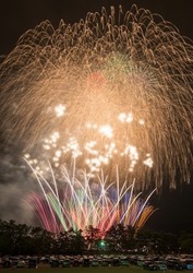 第38回 須坂みんなの花火大会