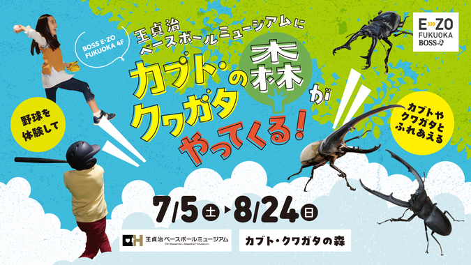 カブト・クワガタの森｜(C)SoftBank HAWKS