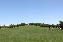 「【北海道】7月19日～21日の三連休おでかけにもおすすめ！人気スポットランキング」の写真