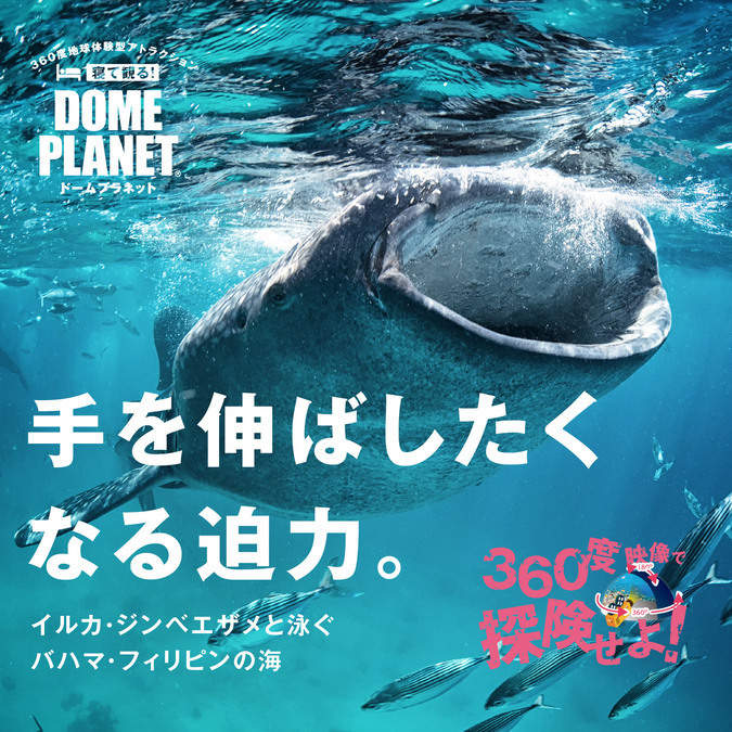 今回上映される「イルカ・ジンベエザメと泳ぐ世界の海」のイメージ