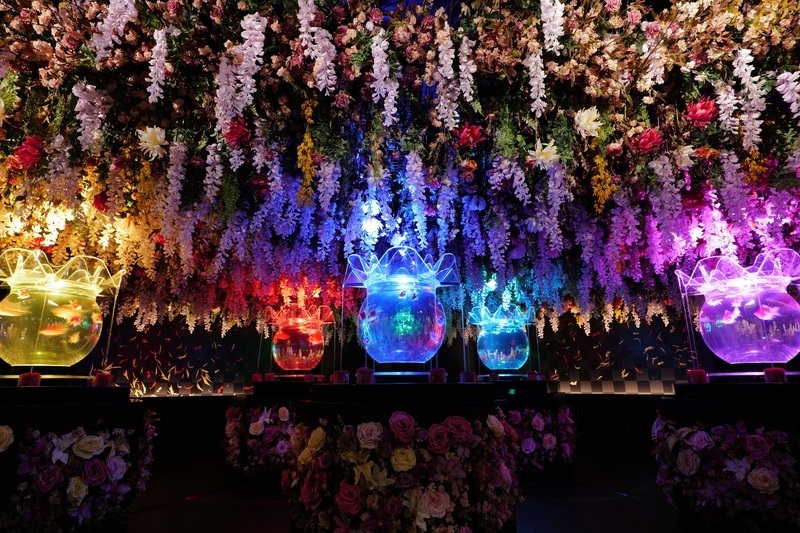 アートアクアリウム展 名古屋2025