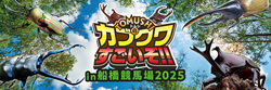 TOMUSHIのカブクワすごいぞ!! in 船橋競馬場2025