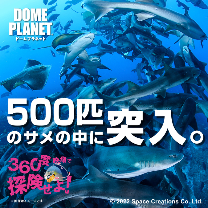 「シャークスクランブル」のイメージ