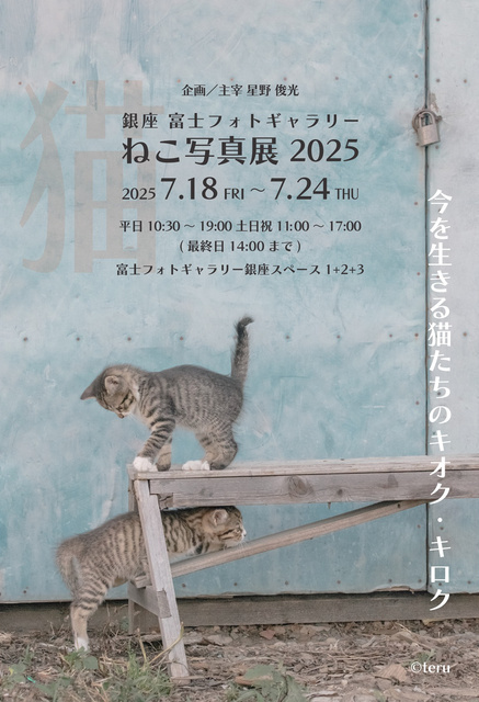 銀座 富士フォトギャラリー ねこ写真展2025（撮影：teru / デザイン：サトウミキ）