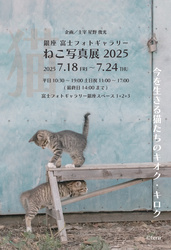 銀座 富士フォトギャラリー ねこ写真展2025（撮影：teru / デザイン：サトウミキ）