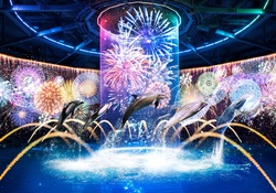 「【関東】2025年夏休みに親子で楽しめる「夜の水族館」6選　ナイトツアー＆ショーも」の写真