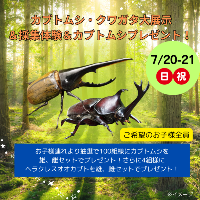 カブトムシ・クワガタ大展示＆採集体験