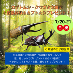 カブトムシ・クワガタ大展示＆採集体験