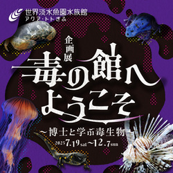 「水遊び＆生き物体験で夏満喫！岐阜県各務原市で「夏の楽園祭」開催　泡ナイトプールも」の写真