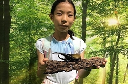 「【関東】2025年夏休みに楽しめる！おすすめ昆虫展＆昆虫イベント17選 ふれあい体験も」の写真