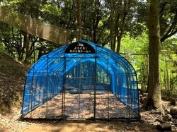 「【関東】2025年夏休みに楽しめる！おすすめ昆虫展＆昆虫イベント17選 ふれあい体験も」の写真