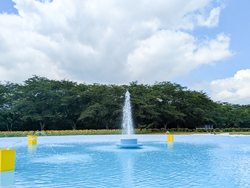 「成田ゆめ牧場に新エリア「水遊び広場」が登場　黄金のひまわり畑＆夏グルメ＆昆虫展も」の写真
